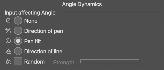 Clip Studio Paint Angle Dynamics with Pen tilt selected